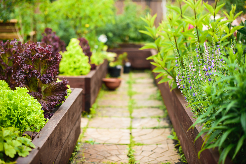 Dekoratívne prvky v záhrade: Tipy, ako skrášliť záhradu pri dome